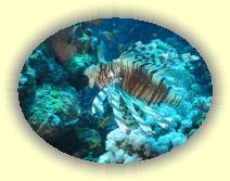 IMG_2007_05_26 18_19_42 * 2272 x 1704 * (551KB)